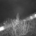 Webcam_20210104-194500