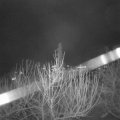 Webcam_20210104-200000