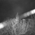 Webcam_20210104-203000