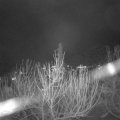 Webcam_20210104-204500