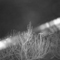 Webcam_20210104-210000