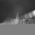 Webcam_20210104-211500