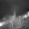 Webcam_20210104-213000