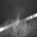 Webcam_20210105-051500