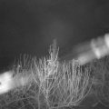 Webcam_20210105-060000