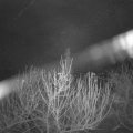 Webcam_20210105-061500