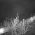 Webcam_20210105-070000
