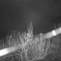 Webcam_20210105-071500