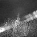 Webcam_20210105-073000