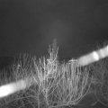 Webcam_20210105-081500