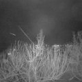 Webcam_20210105-190000