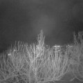Webcam_20210105-191500