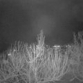 Webcam_20210105-201500