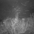 Webcam_20210105-203000