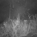 Webcam_20210105-204500