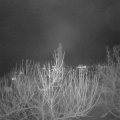 Webcam_20210105-210000