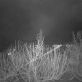 Webcam_20210105-211500