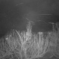 Webcam_20210105-214500