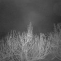 Webcam_20210106-051500