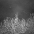 Webcam_20210106-053000