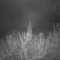 Webcam_20210106-061500