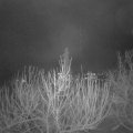 Webcam_20210106-063000