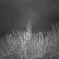 Webcam_20210106-064500