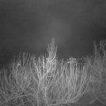 Webcam_20210106-070000