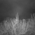 Webcam_20210106-073000