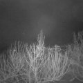 Webcam_20210106-074500