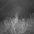 Webcam_20210106-080000