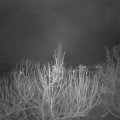 Webcam_20210106-081500