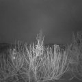 Webcam_20210106-083000