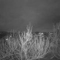 Webcam_20210106-183000