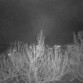 Webcam_20210106-190000