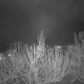 Webcam_20210106-191500