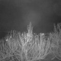 Webcam_20210106-193000