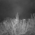 Webcam_20210106-201500
