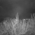 Webcam_20210106-211500