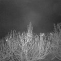 Webcam_20210106-214500