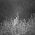 Webcam_20210107-051500