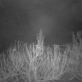 Webcam_20210107-053000