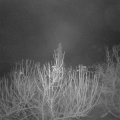 Webcam_20210107-063000
