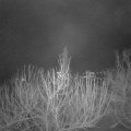 Webcam_20210107-064500