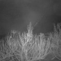 Webcam_20210107-071500