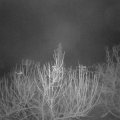 Webcam_20210107-073000