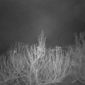 Webcam_20210107-074500