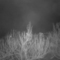 Webcam_20210107-080000