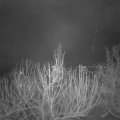 Webcam_20210107-081500