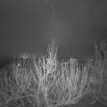 Webcam_20210107-083000